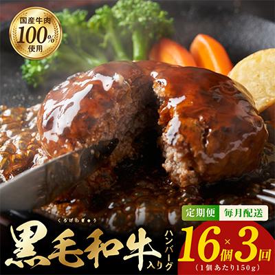 ふるさと納税 泉佐野市 [毎月定期便]黒毛和牛入り 国産牛肉100% ハンバーグ 16個×全3回