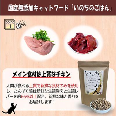 ふるさと納税 泉佐野市 【毎月定期便】国産 無添加 キャットフード「いのちのごはん」500g×全3回 099Z329の画像