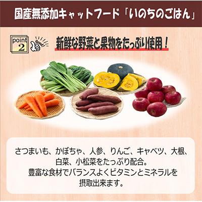ふるさと納税 泉佐野市 【毎月定期便】国産 無添加 キャットフード「いのちのごはん」500g×全3回 099Z329の画像