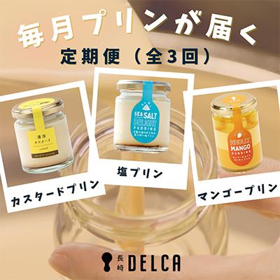 ふるさと納税 長崎市 [毎月定期便]長崎浜んまちPUDDINGの職人による人気プリンが毎月届く全3回