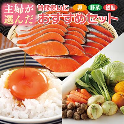 ふるさと納税 泉佐野市 主婦が選んだ 普段使いにおすすめセット(銀鮭 切り身 卵 野菜)[複数個口で配送]