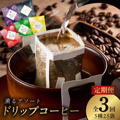 ふるさと納税 泉佐野市 [毎月定期便]ドリップコーヒー 工場直送 5種25袋×全3回
