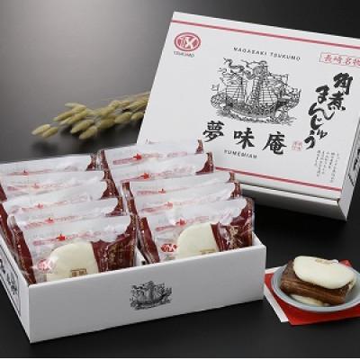 ふるさと納税 松浦市 【発送月固定定期便】角煮まんじゅう10個入り 全6回_1
