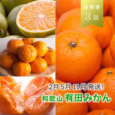 ふるさと納税 九度山町 [発送月固定定期便]季節の柑橘定期便A[フルーツ定期便][和歌山県有田]全3回