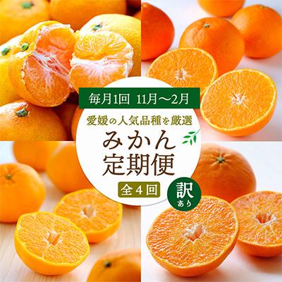 ふるさと納税 八幡浜市 [発送月固定定期便]愛媛の人気品種!かんきつ定期便 11月〜2月(訳あり)全4回[H25-155]