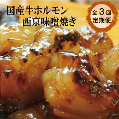 ふるさと納税 舞鶴市 [毎月定期便][訳あり]大トロホルモン 西京味噌焼き 1kg全3回