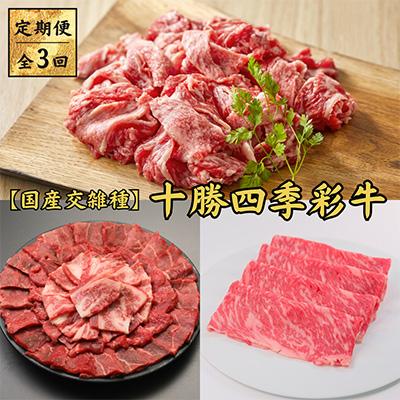 ふるさと納税 帯広市 [毎月定期便]十勝四季彩牛 焼肉・切落し・すき焼きセット 全3回