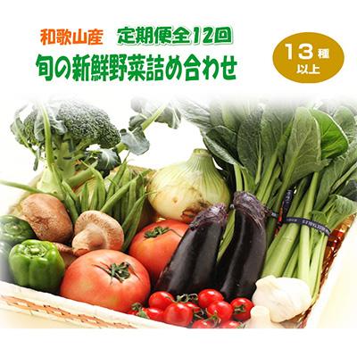 ふるさと納税 印南町 [毎月定期便]旬の新鮮野菜セット 13種以上(和歌山産)全12回