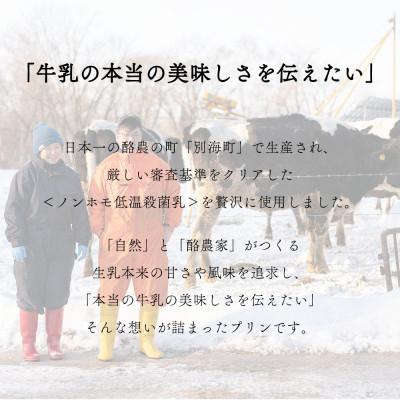 ふるさと納税 別海町 【2ヵ月毎定期便】ニュープディング 500g×1本 別海町産生乳を贅沢に使用したこだわりプリン全3回の画像