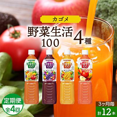 ふるさと納税 那須塩原市 [3ヵ月毎定期便]カゴメ 野菜生活100 PET 720ml 4種 計12本 那須塩原市全4回