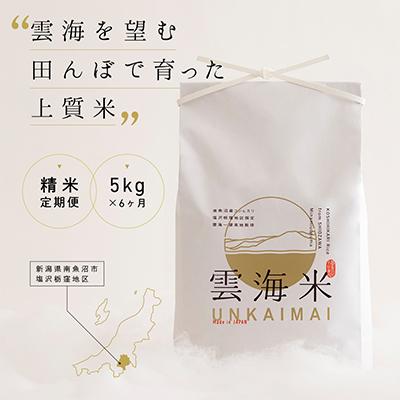 ふるさと納税 南魚沼市 [毎月定期便]南魚沼産コシヒカリ「雲海米」精米5kg全6回