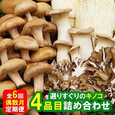 ふるさと納税 南島原市 [発送月固定定期便]南島原産 厳選きのこセット 4品目 詰め合わせ 偶数月全6回