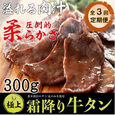 ふるさと納税 舞鶴市 [毎月定期便]厚切り牛タン 特製塩だれ付き 300g全3回