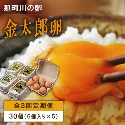 ふるさと納税 那珂川市 [毎月定期便]那珂川の金太郎卵 30個(6個入り×5パック) 全3回