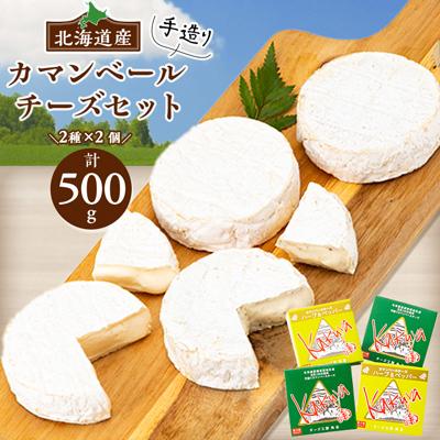 ふるさと納税 安平町 [2ヵ月毎定期便]高評価! 角谷 カマンベールチーズセット[125g×4個]全3回