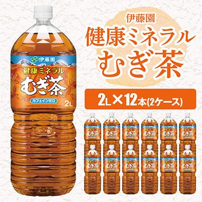 ふるさと納税 香取市 [毎月定期便]伊藤園の健康ミネラルむぎ茶 2L×12本 全3回