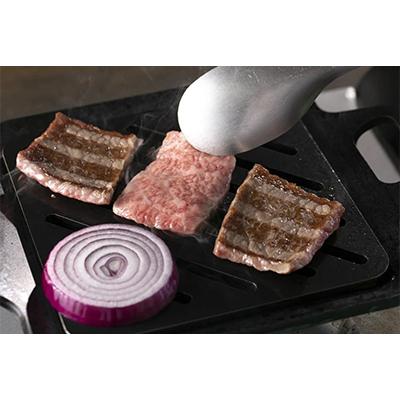 ふるさと納税 大垣市 【毎月定期便】A5飛騨牛　5ヵ月ちょこちょこお届け(焼肉・すき焼きほか)全5回 |  | 03