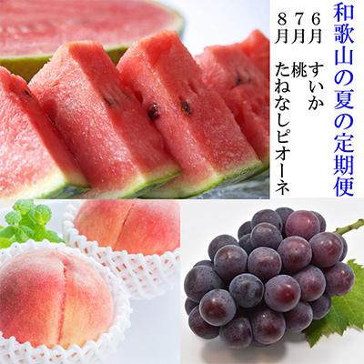 ふるさと納税 すさみ町 [発送月固定定期便]和歌山の夏の人気フルーツ定期便全3回
