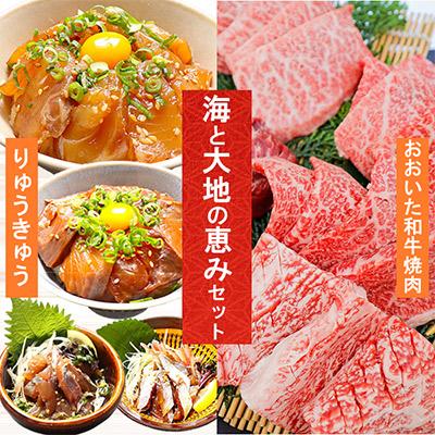 ふるさと納税 杵築市 りゅうきゅう4種+おおいた和牛焼肉 [海と大地の恵みセット][複数個口で配送]