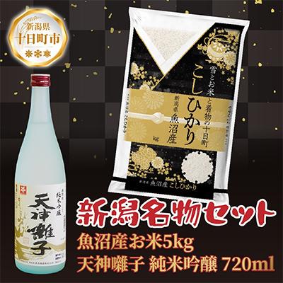 ふるさと納税 十日町市 魚沼産 コシヒカリ 5kg 精米 お米 天神囃子 純米吟醸 720ml 魚沼酒造[複数個口で配送]