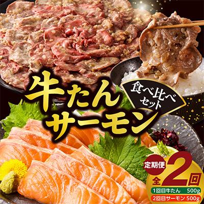 ふるさと納税 泉佐野市 [毎月定期便]牛タン&amp;サーモン 食べ比べ 定期便 総量1kg 全2回