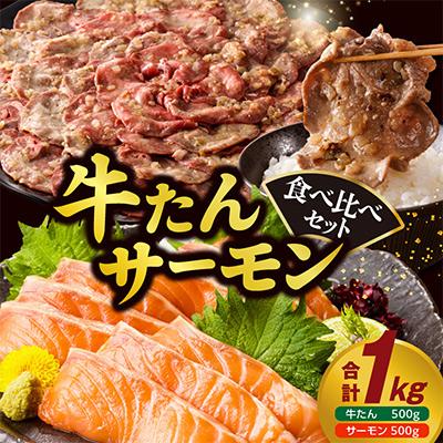 ふるさと納税 泉佐野市 牛タン&amp;サーモン 食べ比べ セット 総量1kg 099S024[複数個口で配送]