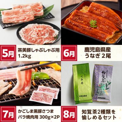 ふるさと納税 南九州市 【発送月固定定期便】南九州まんぞく定期便2全12回 |  | 02