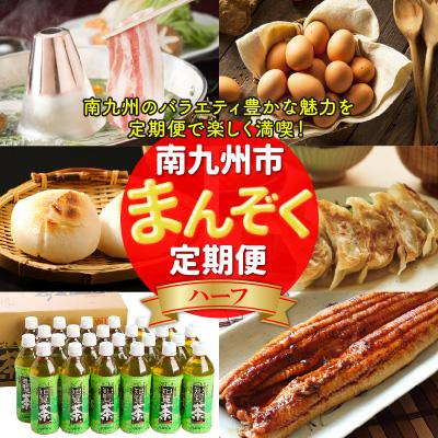 ふるさと納税 _南九州市 [発送月固定定期便]南九州まんぞく定期便ハーフ全6回