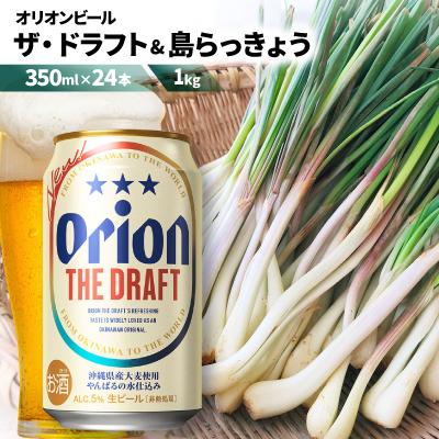 ふるさと納税 国頭村 [ビール特産品セット]オリオン ザ・ドラフト&amp;国頭村の島らっきょう[複数個口で配送]