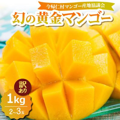 ふるさと納税 今帰仁村 [2026年7月中旬から順次発送・訳あり]今帰仁産の幻の黄金マンゴー1kg(2〜3玉)