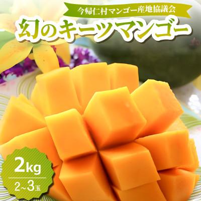 ふるさと納税 今帰仁村 [2026年8月中旬から順次発送]今帰仁産の幻のキーツマンゴー2kg(2〜3玉)
