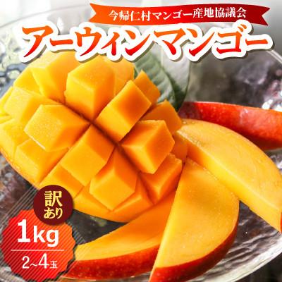 ふるさと納税 今帰仁村 [2026年6月下旬から順次発送・訳あり]今帰仁産のアップルマンゴー1kg(2〜4玉)