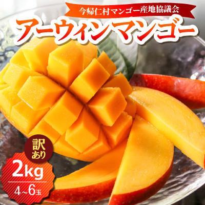 ふるさと納税 今帰仁村 [2026年6月下旬から順次発送・訳あり]今帰仁産のアップルマンゴー2kg(4〜6玉)