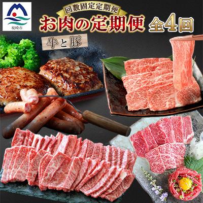 ふるさと納税 枕崎市 [毎月定期便]厳選!お肉の定期便全4回