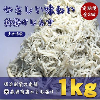 ふるさと納税 南国市 [毎月定期便]釜揚げしらす高知県産1kg全12回