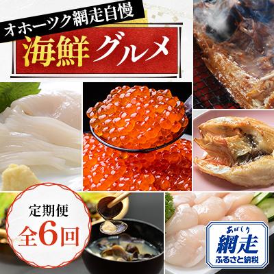 ふるさと納税 網走市 [毎月定期便]オホーツク網走自慢 海鮮グルメ(帆立・いくら・イカ刺し・ホッケ・きんき・しじみ)全6回