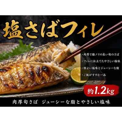 ふるさと納税 印南町 【毎月定期便】【ご家庭用訳あり】人気の塩さばフィレ\u0026紅鮭切身セット計2kg全3回_2
