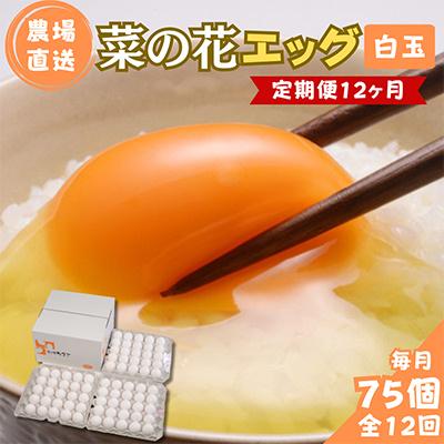 ふるさと納税 君津市 [毎月定期便]菜の花エッグ 白玉 75個 (25個入り×3パック) 全12回
