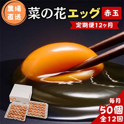なっちゃん / パック卵100個 ふるさと納税 君津市 【毎月定期便】菜の花エッグ 赤玉 50個 (25個入り