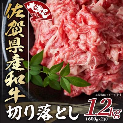 ふるさと納税 吉野ヶ里町 [毎月定期便]大満足!佐賀県産和牛切り落とし 1.2kg(600g×2パック)(吉野ヶ里町)全12回