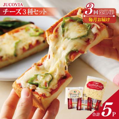 ふるさと納税 泉佐野市 [毎月定期便]ムラカワチーズ 人気チーズ 3種セット 全3回