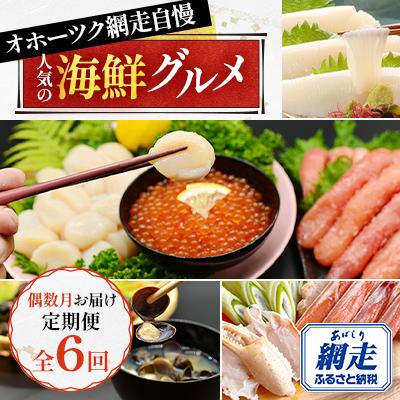 ふるさと納税 網走市 [発送月固定定期便]オホーツク網走自慢人気の海鮮グルメ 偶数月お届け定期便全6回
