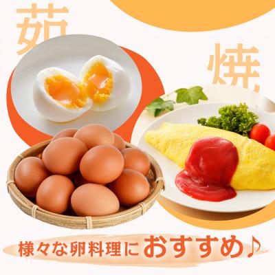 ふるさと納税 都城市 【毎月定期便】合計150個　アスタキサンチン入り赤卵「高崎のめぐみ」50個全3回 |  | 02