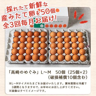 ふるさと納税 都城市 【毎月定期便】合計150個　アスタキサンチン入り赤卵「高崎のめぐみ」50個全3回 |  | 03