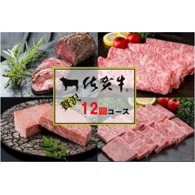 ふるさと納税 伊万里市 [発送月固定定期便]佐賀牛毎月贅沢便コース全12回