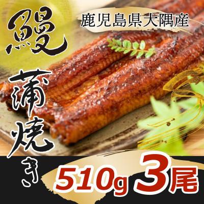 ふるさと納税 鹿屋市 [発送月固定定期便]大隅特産うなぎ蒲焼 3尾(510g) 2182 全4回