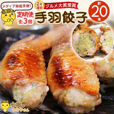 ふるさと納税 香取市 [毎月定期便]8秒に1本売れてます!手羽先餃子20本セット! 全3回