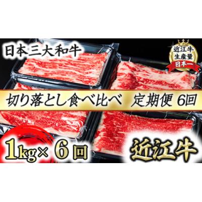 ふるさと納税 近江八幡市 [毎月定期便]A5等級 近江牛切り落としスライス 食べ比べ ブリスケ&amp;バラ 250g×4p全6回