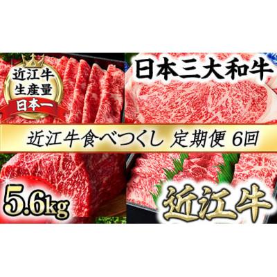 ふるさと納税 近江八幡市 [毎月定期便]近江牛食べつくしセット 合計5.6kg全6回