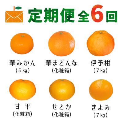 ふるさと納税 八幡浜市 [発送月固定定期便]コウ果樹園の旬の柑橘定期便(11月-4月)[H33-40]全6回